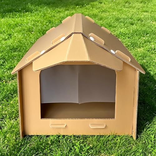 Refugio exterior para gatos en zonas comunitarias y parques públicos 4
