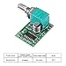 Diitao 10PCS Mini PAM8403 DC 5V Audio Amplifier Handy Digital Power Amp Module Board 3W+3W Dual-Channel PAM8403 Stereo Amplifiers with Potentiometer for DIY Portable