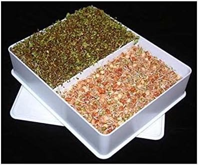Sprout Master Single Sprouter