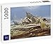 Lais Puzzle Caspar David Friedrich - El Océano Ártico (La Expedición Accidental al Polo Norte, La Esperanza Accidental) 1000 Piezas