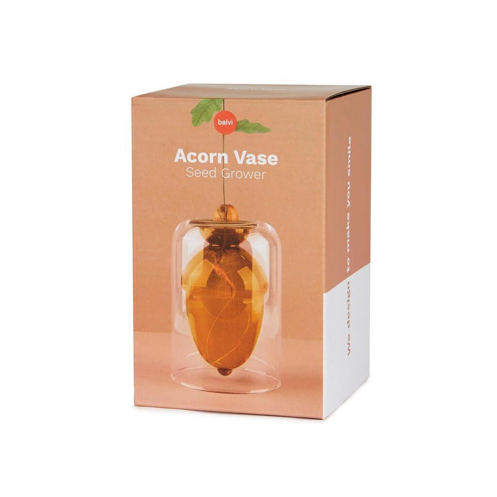 Balvi Vase pour Germination Acorn Couleur Brun Faites Pousser Un chêne à partir d’Un Gland Verre 12cm