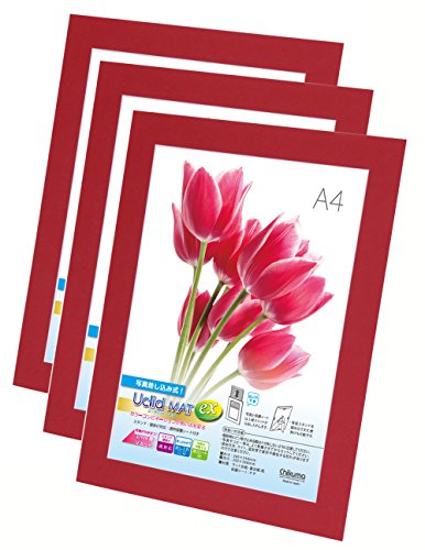 Chikuma フォトフレーム UclidマットEX A4 ワインレッド 3冊セット 30048-9