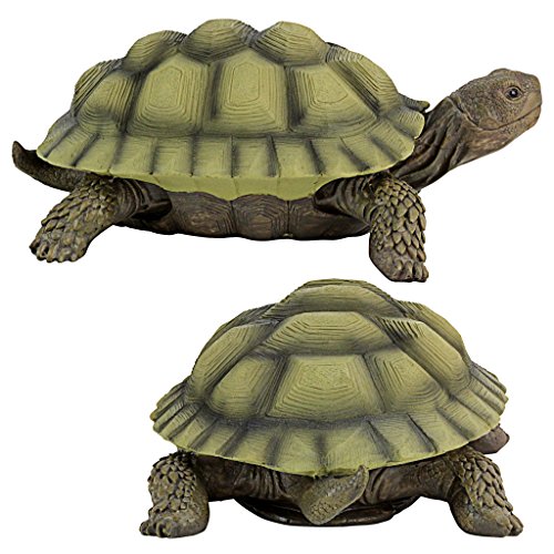 Design Toscano QM91887611 Gilbert The Box Turtle Indoor/Outdoor Garden Decor Animal Statue Set Of Two thumb #1