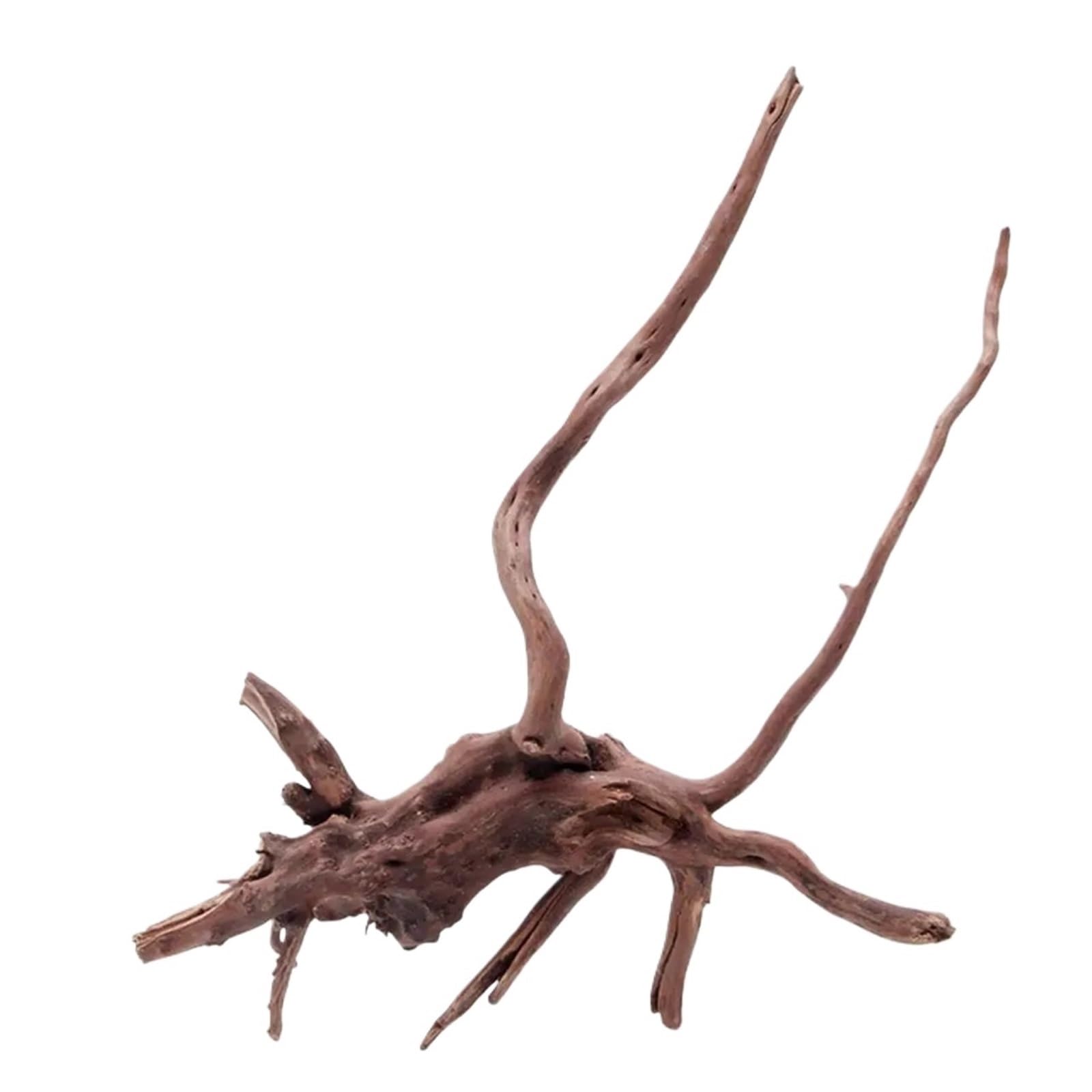 QuxetlRyz Wooden Tree Stump Decor 3PCS Natural Driftwood Cuckoo Roots Dead-wood Fish Tank Ornament Aquarium Decoration Creative Tree Trunk Micro Landscape Pet Supply(3PCS M(15-25cm))