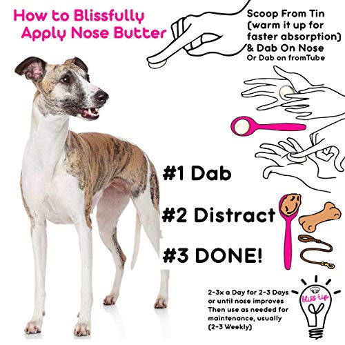 Image of The Blissful Dog Whippet Nose Butter - Dog Nose Butter, 2 Ounce
