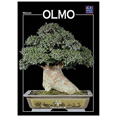  Olmo