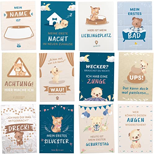 Kipitan Geschenk für Hundebesitzer: 30 Meilensteinkarten für Hund, Frauchen & Herrchen – als Hundetagebuch und Erinnerung an das erste gemeinsame Jahr