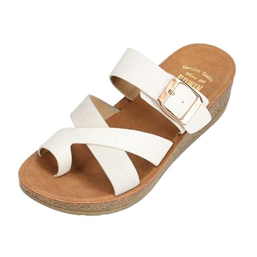 [GhEB] AEghAT_ fB[XT_ zCg (002) 25.0 cm