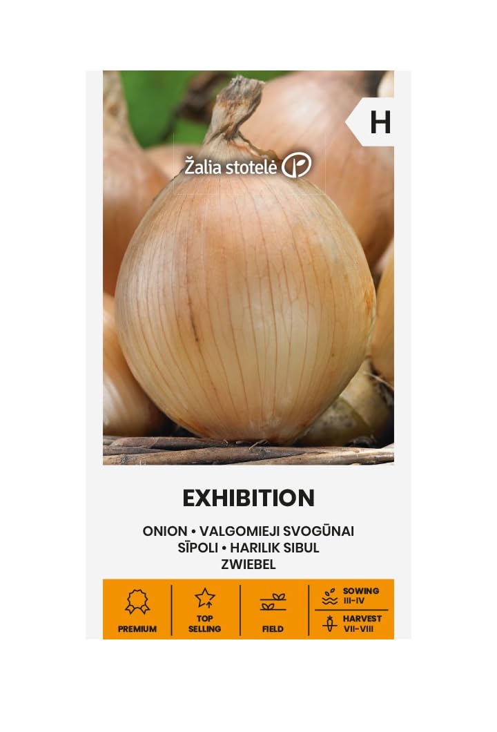 Zalia Stotele | Courgette - Ambassador H Graines | Graines De Légumes