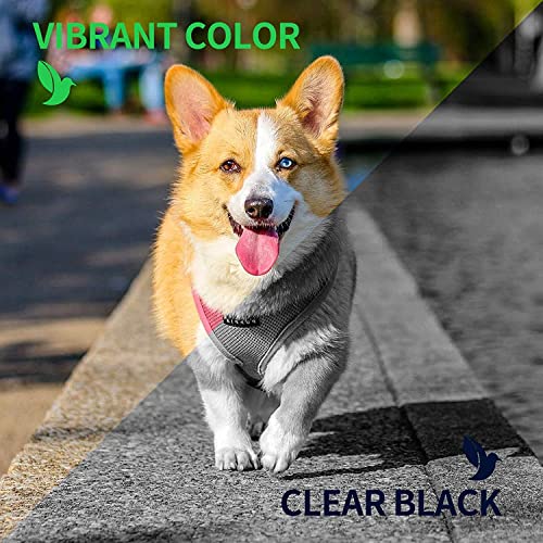 Kodak Photo Paper Gloss 4 X 6 Snapshot 100 Count, 48Lb-180 G/M 2 - 8.5Mil (41305) #TOP6