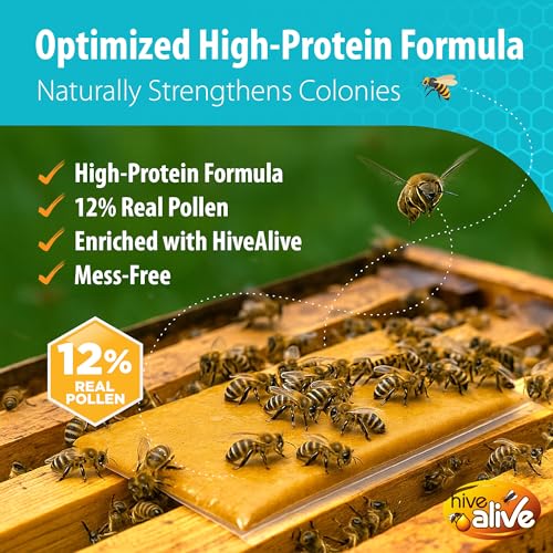 HiveAlive Max Protein Pollen Patty für Bienen, 500g – Eiweißreiches Bienenfutter mit echtem Pollen – Unterstützt Darmgesundheit & Brut – Frühlingsfutter – Saubere, einfache Anwendung