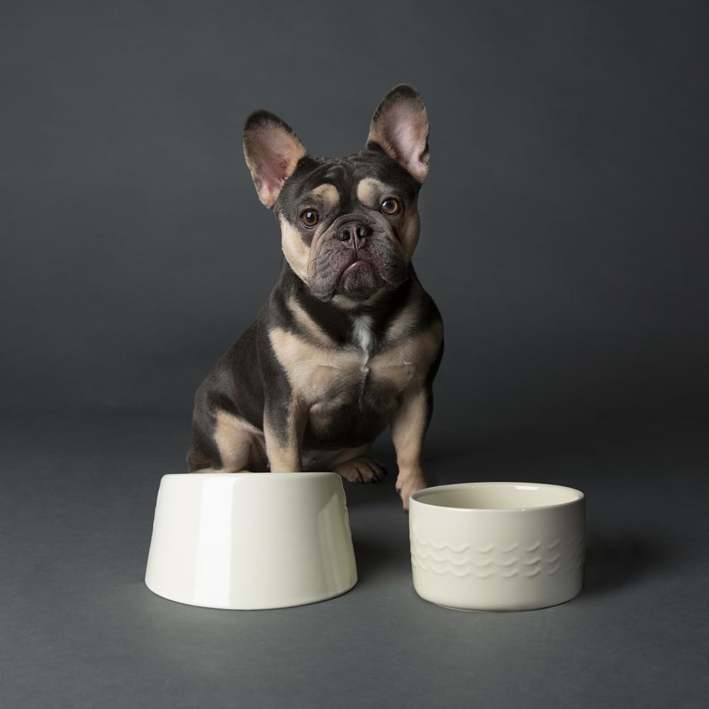 Pet Bowl
