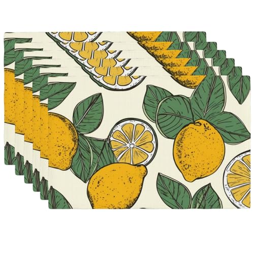 Sets de table lavables et résistants à la chaleur lot de 6