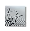The Script Signed Photo & CD In Luxury Handmade Wooden Frame & Certificate Of Authenticity Music Memorabilia Autograph Auto Poster #4