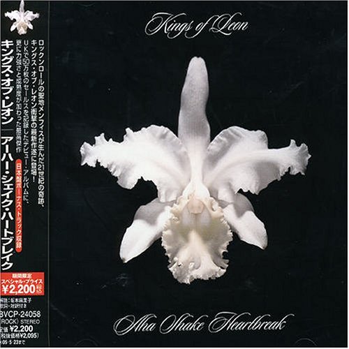 Kings of Leon Aha Shake Heartbreak Music