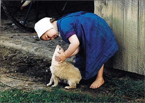 The Gift to be Simple: Life in the Amish Country