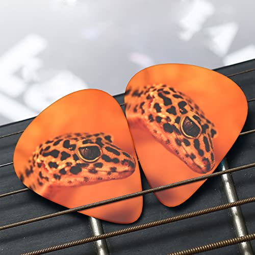 Ensemble de 12 médiators de guitare Leopard Little Gecko pour guitare acoustique, guitare électrique, contrebasse… - Les Beatles, Paul McCartney, John Lennon, RIngo Starr, George Harrison Ensemble de 12 médiators de guitare Leopard Little Gecko pour guitare acoustique, guitare électrique, contrebasse… – Image 8