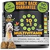 Googipet Premium 10 in 1 Dog Vitamins Multivitamin Chewable with Probiotics for Gut Health Dog Vitamins and Supplements wVitamin C Glucosamine for Joint Support Chicken Vegetable Flavor