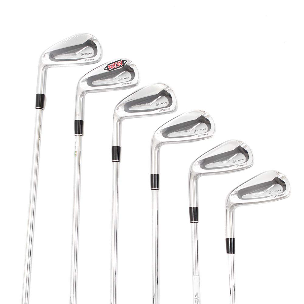 ダンロップSRIXON Z585 5～PW NSPRO 950 GH DST S