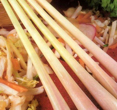 Lemon Grass 50 Seeds - Cymbopogon - Herb #TOP1