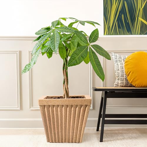 Image of Kuber Industries Pack of 6 Roto Mould German Polymer 14-Inch Big Size Flower Pot | Indoor /Outdoor Tree Gamla Planter for Living Room, Resorts, Hotels, Terrace & Garden | Marble Pihu Splash - Sand