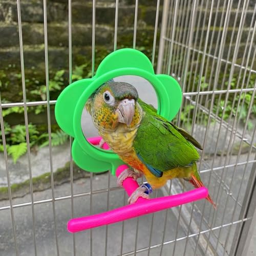 Image of Bird Mirror Perch Toy, Colorful Interactive Standing Swing Exercise Toy for Bird Cage Acrylic Plastic 4.7 Inch Mirror 4.7 Inch Perch 1 Piece