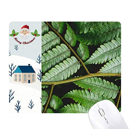 A̗t̎R̎ʐ^ T^N[XƉS̃}EXpbh