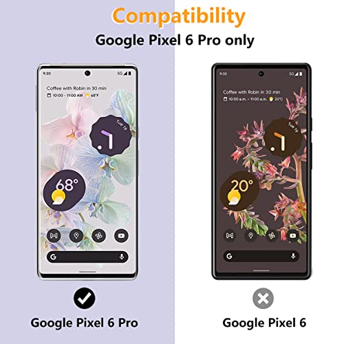 AnnhanT Protettiva Pellicola per Google Pixel 6