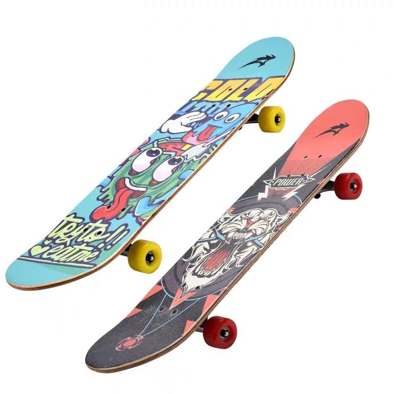 Complete Skateboard Canadian Skateboard for Boys Girls Teens