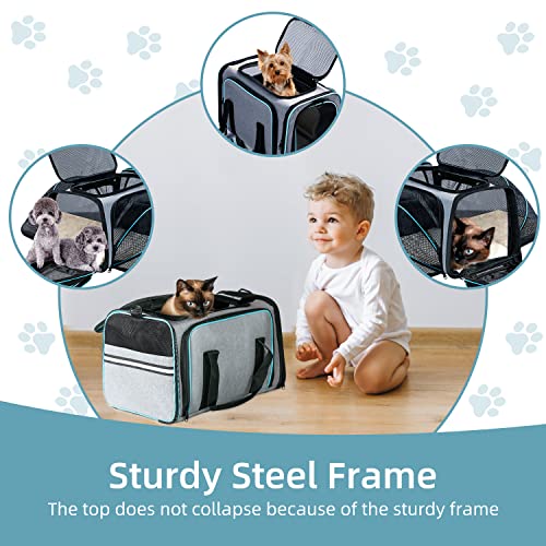 Tdhdike 002 Cat/Dog Airline Approved Expandable Pet Carrier For Small Pets - Removable Pad, Pockets, Tsa Compliant thumb #5