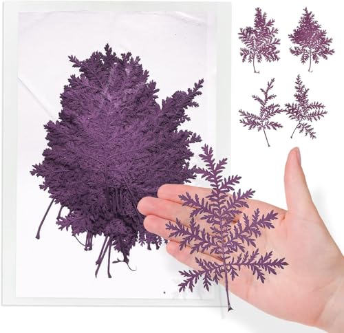 Hojas Secas de Artemisia para Manualidades, 42 Piezas miniatura 1