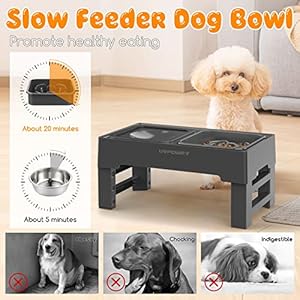 URPOWER 2-in-1 Elevated Slow Feeder Dog Bowls with No Spill Dog Water Bowl 4 Height Adjustable Raised Dog Bowl Non-Slip Dog Food and Water Bowls with Stand for Small Medium Large Dogs, Cats and Pets
