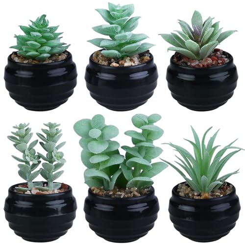 GREENTIME 6 Pcs Fake Succulent Plants Potted Set Artificial Mini Green Succulents in Black Pot as Party Gift Faux Plants Indoor for Home Office Desk Bathroom Bedroom Living Room Table Shelf Decoration