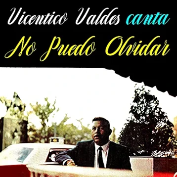 No Puedo Olvidar (Strangers in the Night)