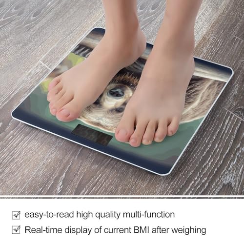 Báscula digital para baño con pantalla LCD de alta precisión miniatura 5