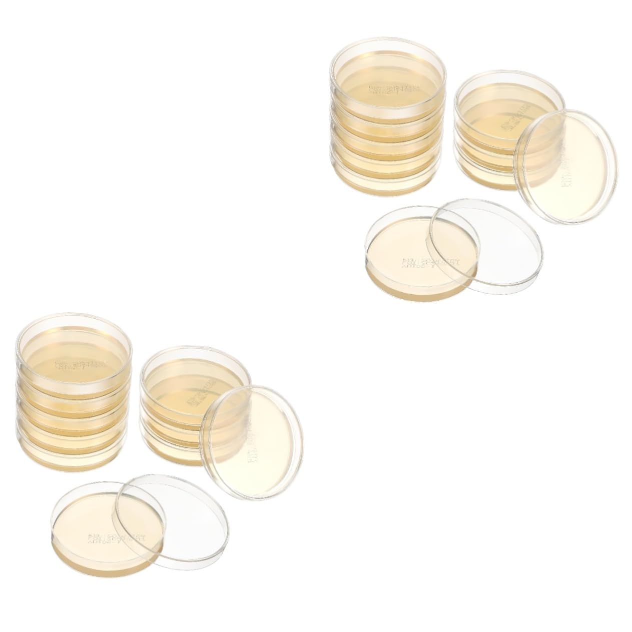 SOLUSTRE Piastre Petri Con Agar Preconfezionate 7X7X0.8 Pollici Kit 20 Pezzi Strumenti Scientifici Per Coltura in Laboratorio Piatti Nutrienti Per Esperimenti Stem Scuola