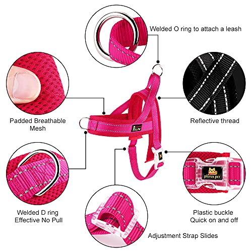 Image of Plutus Pet No Pull Dog Harness for Large Dogs, Breathable Mesh Padded