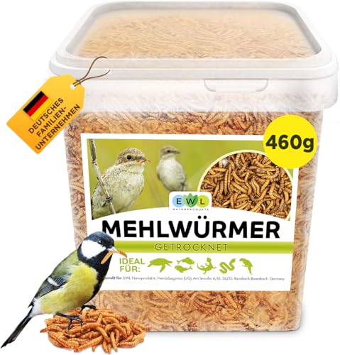 Mehlwürmer getrocknet, Premium Insektensnack Vögel, Fische, Schildkröten, Nager, Igel, Reptilien, Vogelfutter Wildvögel Ganzjährig Eichhörnchen Futter Hamsterfutter Igelfutter 460g (2,5L) Mehlwürmer getrocknet, Premium Insektensnack Vögel, Fische, Schildkröten, Nager, Igel, Reptilien, Vogelfutter Wildvögel Ganzjährig Eichhörnchen Futter Hamsterfutter Igelfutter 460g (2,5L)