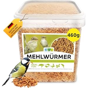 Mehlwürmer getrocknet, Premium Insektensnack Vögel, Fische, Schildkröten, Nager, Igel, Reptilien, Vogelfutter Wildvögel Ganzjährig Eichhörnchen Futter Hamsterfutter Igelfutter 460g (2,5L)