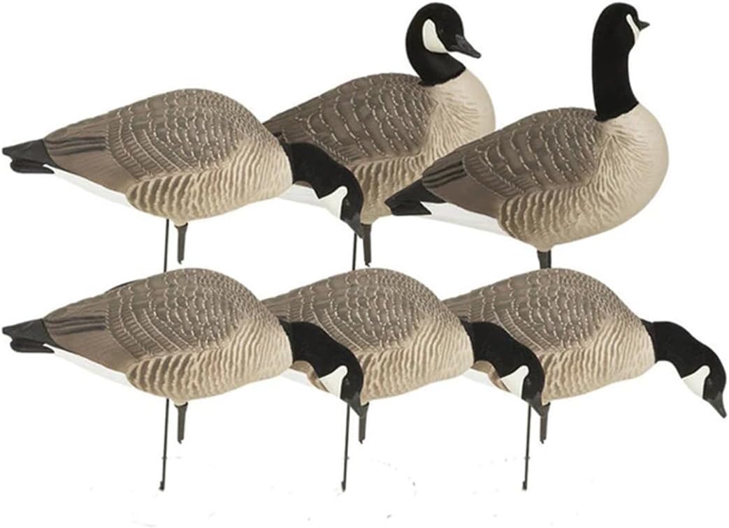 Avery GHG Hunter Series Canada Goose Full Body Pack Decoys | Choose Feeder or Harvester Pack