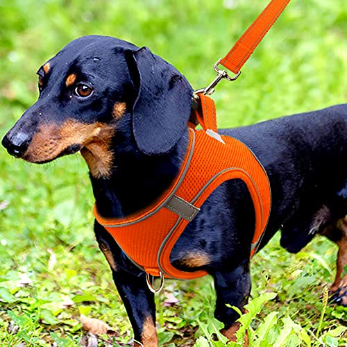 Joytale Step in Dog Harness,Soft Mesh Reflective Breathable Vest Harnesses,Easy Walk Harness with Safety Buckle for Small and Medium Dogs,M,Orange - Image 2