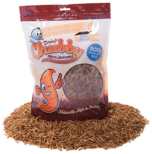 500 g Chubby séché vers avec LIVRAISON GRATUITE pour oiseaux sauvages et d'autres animaux