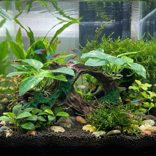 Image of Aquarium Decorations Cave Silk Aquarium Plants Betta Fish Tank Decor Ornament, Soft & Safe Fish Tank Accessories, Goldfish Bowl Decor Artificial Driftwood
