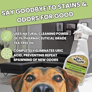 GVX Cook Banks Pet Odor Eliminator Dog Urine Odor Eliminator Cat Spray Deterrent Pet Stain Remover for Carpet Hard Floor Couch Dog Pee Spray Urine Deodorizer Neutralizer for Home 32 oz