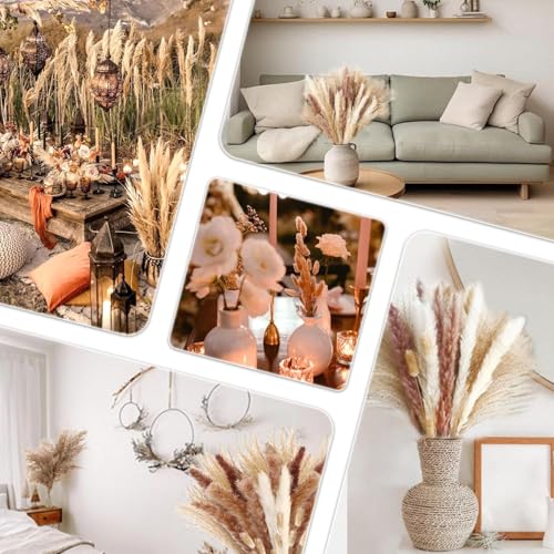 Image of Qlect Home Decor 100 Pcs Set 17inch Natural Dried Pampas Grass,Real Rabbit Bunny Tail,Reed Pampas,Boho Bouquet,Artificial Flowers Decor for Table Vase Home Decoration. (100 Pcs Dried Flower Set)