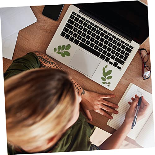ADOCARN 2 Pçs Kits De Unhas De Espécimes De Folhas Enfeites De Unhas Flores Secas Para Resina Folhas