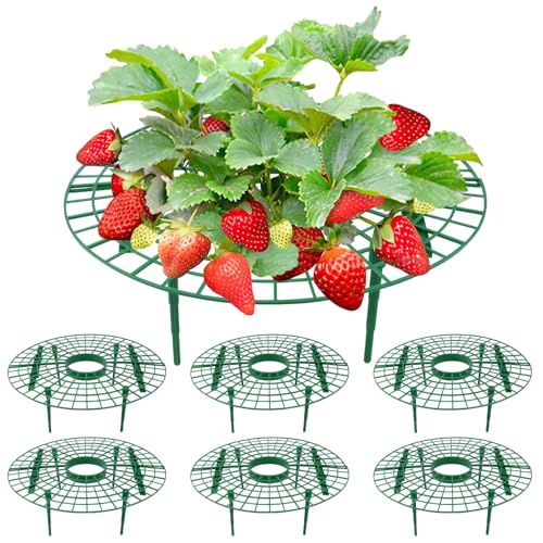 BSTDAYEVER Soporte para Fresas Soportes para Plantas de Fresa Set de 6 Rejillas para Soporte de Fresa Reutilizable Marco Plantación Fresa 30 × 10cm para Plantación de Balcones e Invernaderos