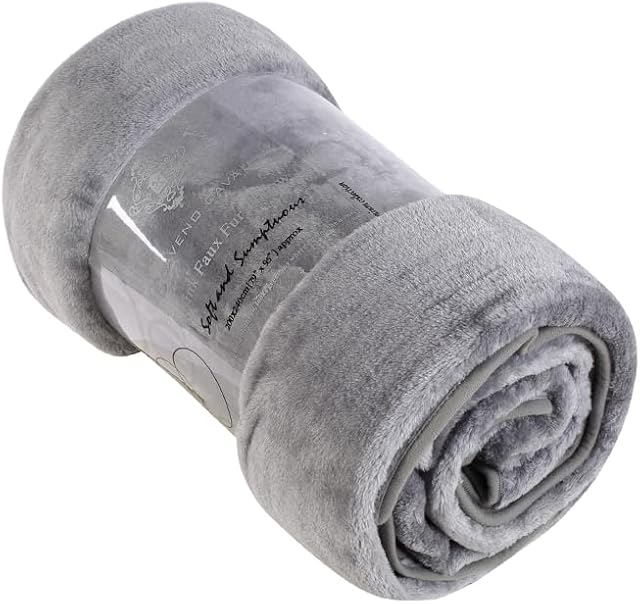 GC GAVENO CAVAILIA Faux Fur Mink Throw Fleece Blanket for Double Bed & Sofa Bed, Lightweight Extra Soft Warm & Cosy Fluffy Blanket, Versatile Outdoor Blanket Throw 150cm x 200cm, Silver
