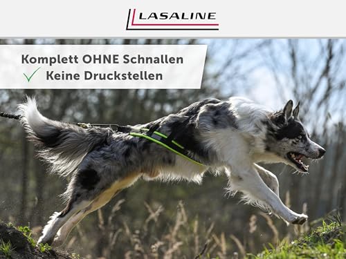 LASALINE Hunde Zuggeschirr X Back für Canicross Hundesport Dogscooter Bikejöring Schlitten in Schwarz Hellblau