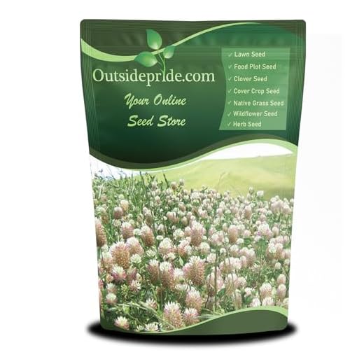 Best garden plants for full sun High-Yield Arrowleaf Clover Seeds